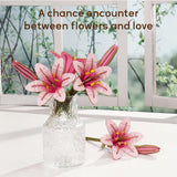 SVG Flower Lily 3D Laser Cutting File for Flower Bouquet